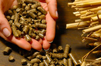 free Cangate biomass boiler quotes